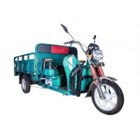 Грузовой электротрицикл Rutrike Алтай 2000 60V1500W светло-зеленый